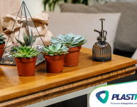 Plantas para apartamento: em quais espécies apostar?