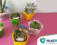 Planta para lembrancinha: qual escolher para sua festa?