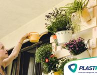 5 soluções para ter plantas dentro de casa!