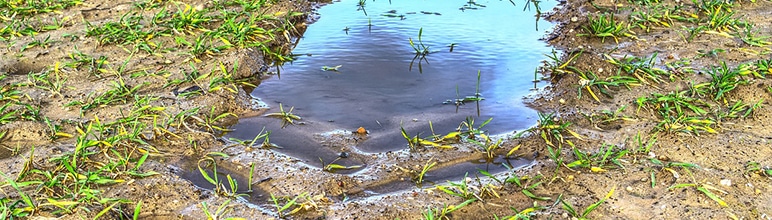 Poça de água em terra.