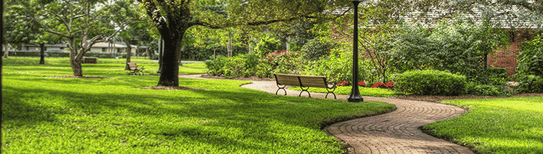 Jardim em parque.