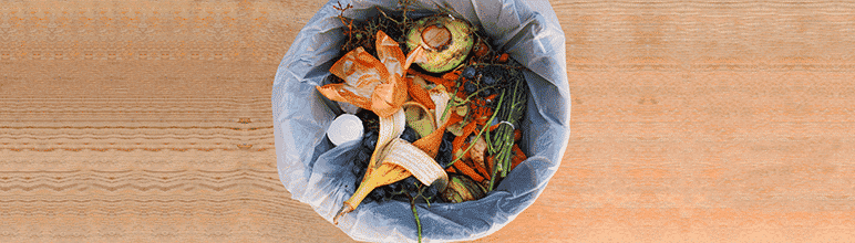 Lixo orgânico para reciclar.