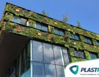 Jardim vertical na cidade e seus benefícios