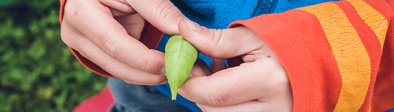 criança segurando planta com cuidado