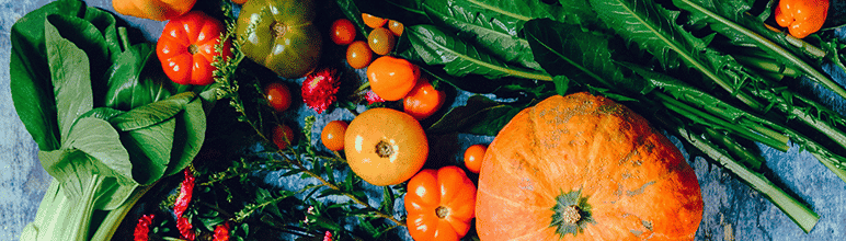 frutas e legumes para sua horta