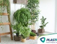 Ideias para ter uma horta em apartamento!