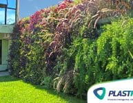 PlastWall: Vantagens do Módulo para Jardim Vertical