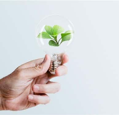 Lâmpada com planta simbolizando o selo de construção sustentável 