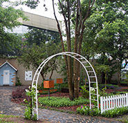 Jardins e pontos verdes trazem a gentileza urbana.