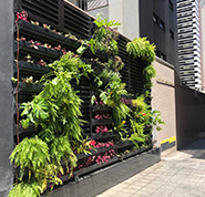 Jardim vertical plastprim.