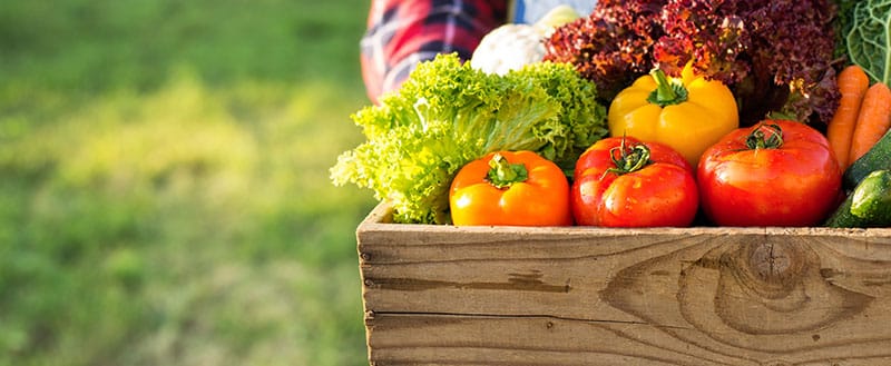 alimentos orgânicos são nutritivos.