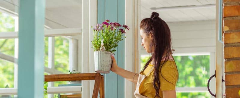 Plantas em vasos dentro de casa.