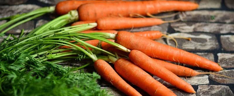 Cenoura, um alimento que pode ser replantados