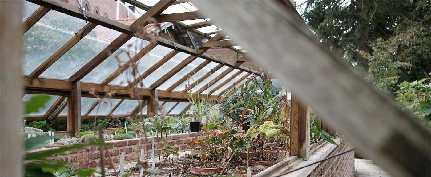 Melhor local para deixar os vasos com suas plantas