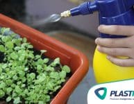 6 fertilizantes orgânicos feitos em casa