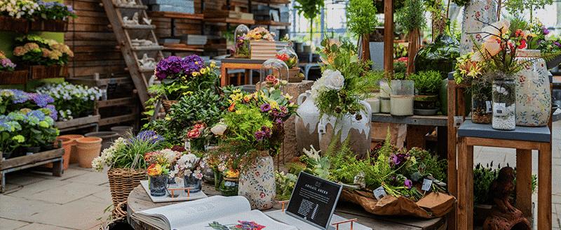 jardim feito com vasos