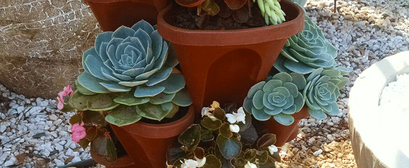 jardim feito com vasos