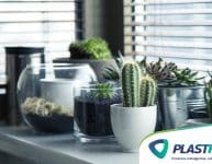 Plantas que atraem boa sorte e energias positivas!