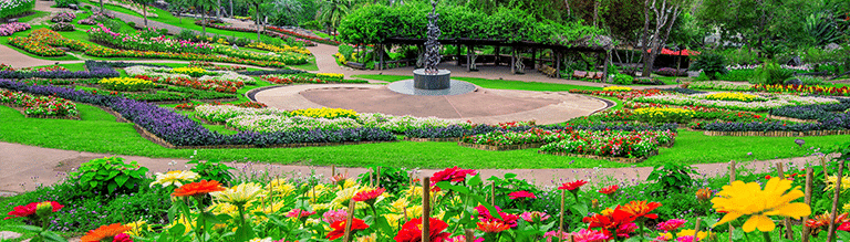 Jardim, flores coloridas como tendência.