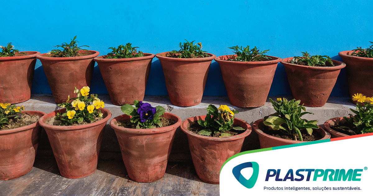 Plantio em vaso: plantas que gostam de sol - Blog Plastprime