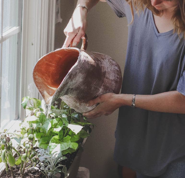 Mulher regando sua planta, realizando cuidados com suas plantas