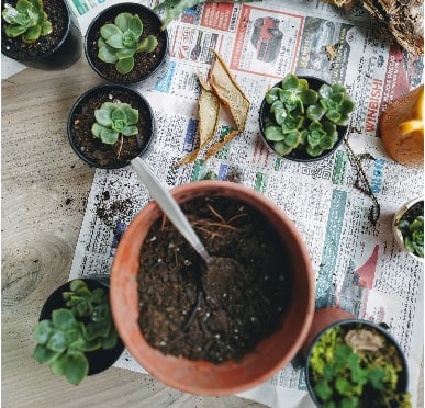 Vaso com terra dentro