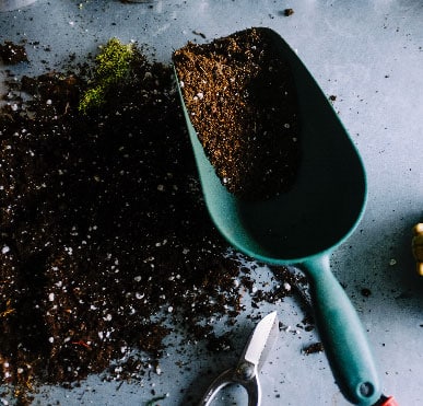 Qual o melhor tipo de solo para seu jardim em casa?
