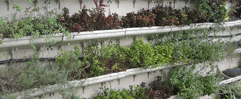 Jardim Vertical sem impermeabilização