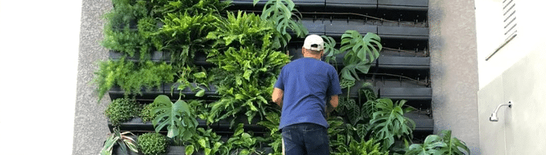 Plastwall a escolha preferida de tantos profissionais