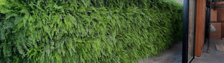 Instalar um Jardim Vertical