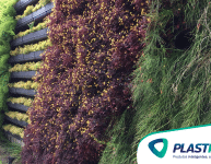 Passo a Passo: Como Instalar um Jardim Vertical