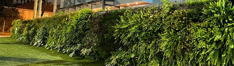 Plastwall em grandes projetos
