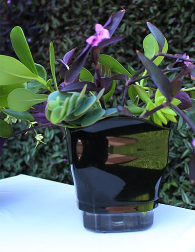 Case-Autoirrigavel-06
