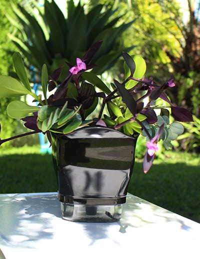 Case-Autoirrigavel-07