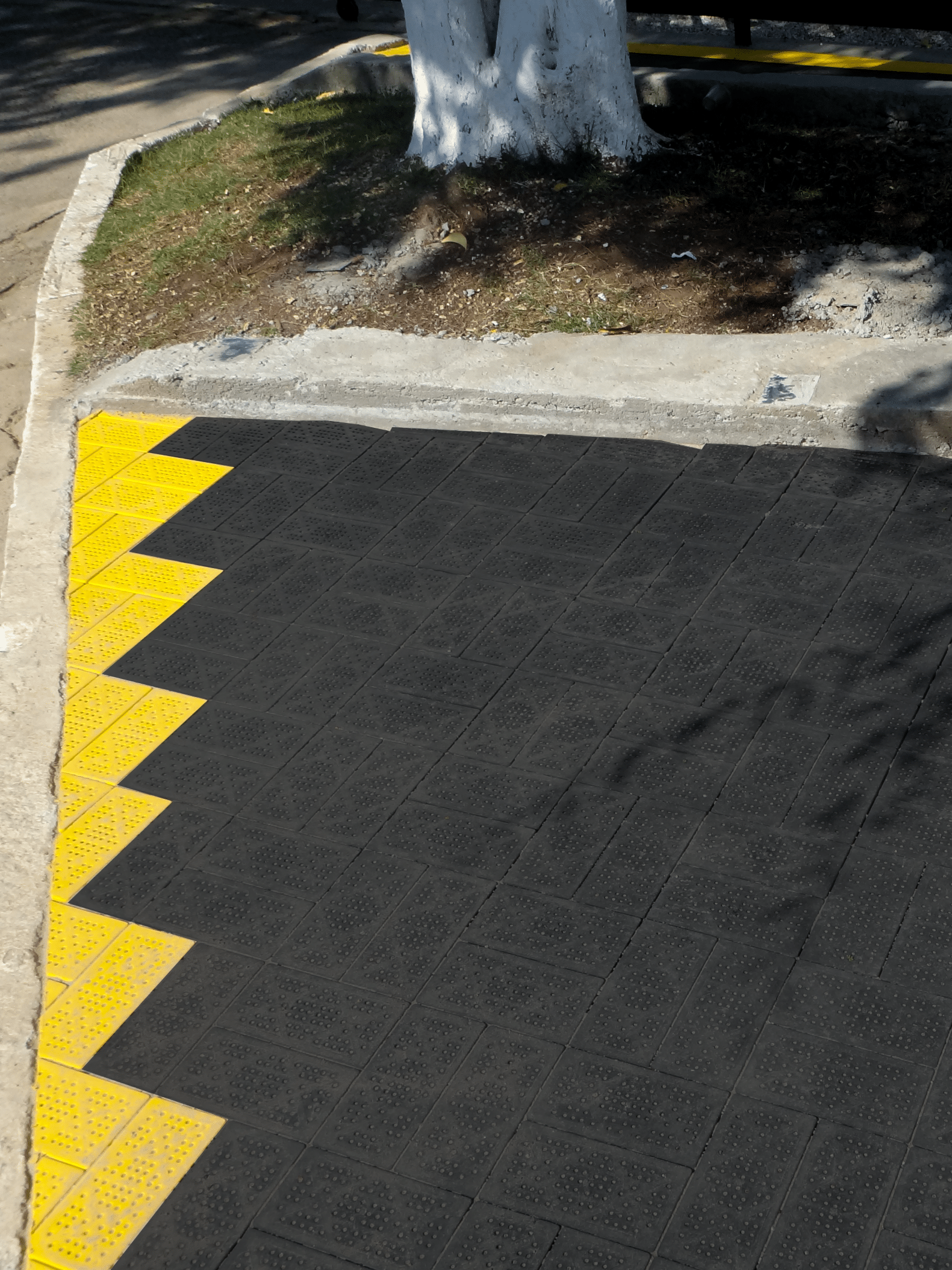 DSC05595_editadas (2)