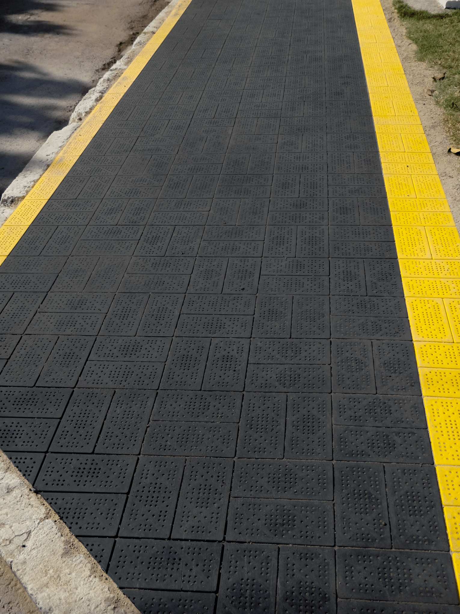 DSC05599_editadas (2)