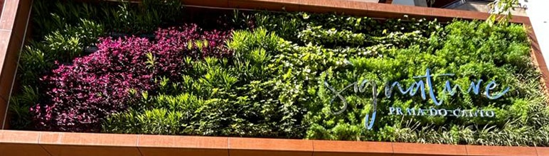 Plastwall em projetos residenciais e corporativos