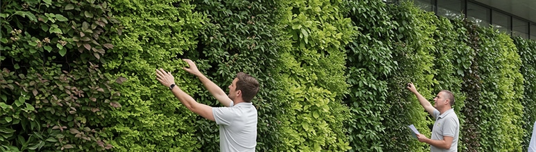 Plastwall ajuda a impressionar clientes
