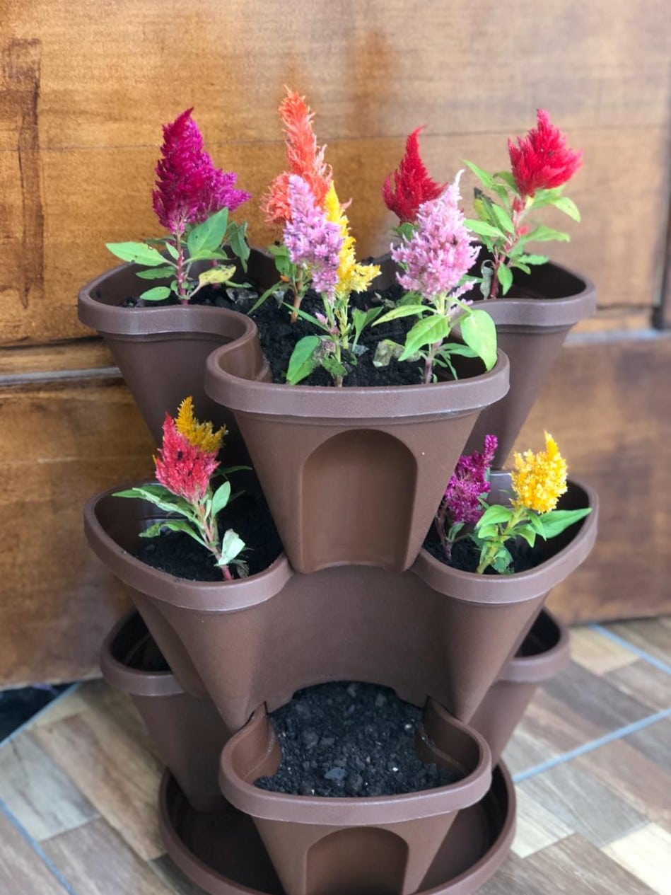 WhatsApp Image 2020-03-01 at 13.27.40