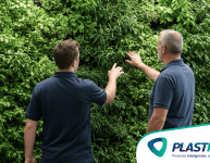 Como impressionar seus clientes com jardins verticais duradouros