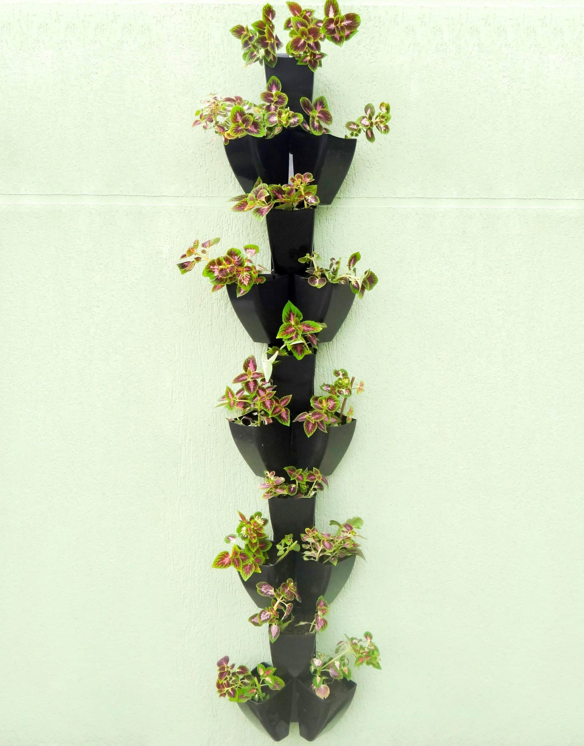 editada 2019 atualizado incrivel