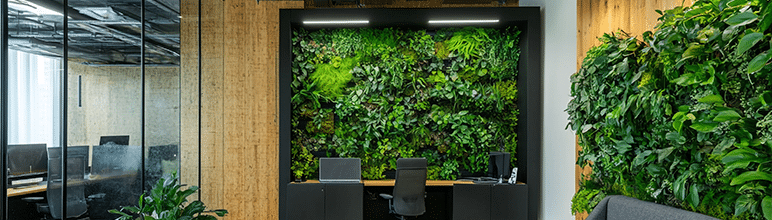 Tipos de jardim vertical