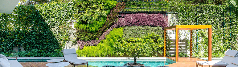 Tipos de jardim vertical