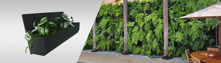 Tendências de Paisagismo para 2026