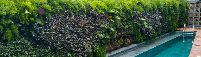 Tendências de Paisagismo para 2026