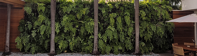 Tendências de Paisagismo para 2026