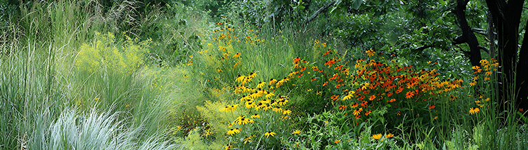 Tendências de Paisagismo para 2026