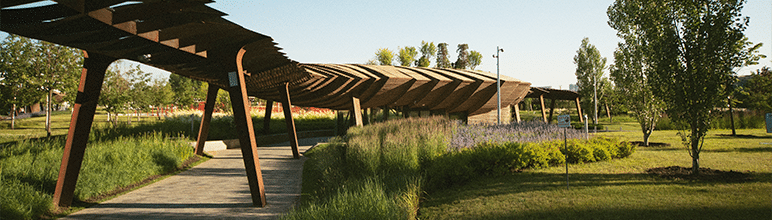 Tendências de Paisagismo para 2026