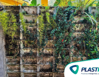 Está pensando em montar um jardim vertical com vaso de concreto? Leia isto antes de começar